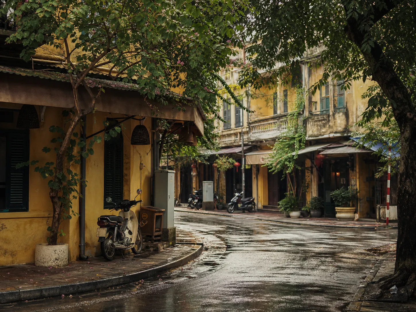 A quiet Hanoi street after rain with trees, yellow buildings, and parked scooters